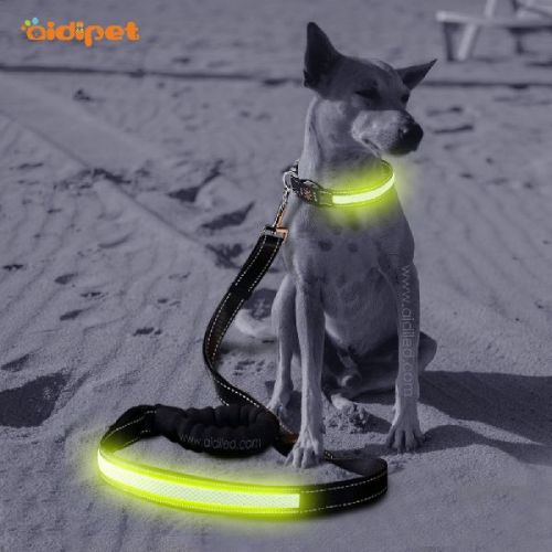 Nylon LED Illuminated Lighted Flashing Dog Lead Leash