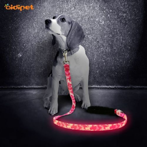 Nylon Rechargeable Glow Safety LED Dog Lead