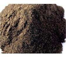Black Pepper Powder, Purity : 100%