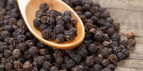 Black Pepper Seeds, Certification : HACCP