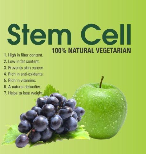 Stem Cells Syrup