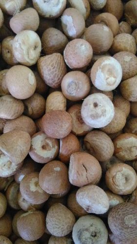 CFL Natural Dry Betel Nuts, For Foodgrade, Size : Vacharaj