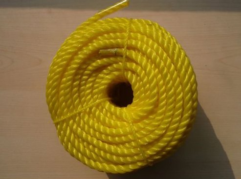 PP Danline Rope