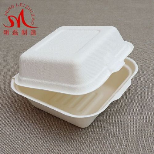 6 Inch Bamboo Pulp Food Container, Lunch Boxes