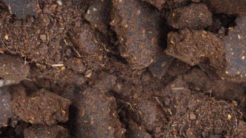 Neem Cake for horticulture agriculture