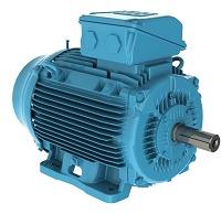 Weg Electric Motors