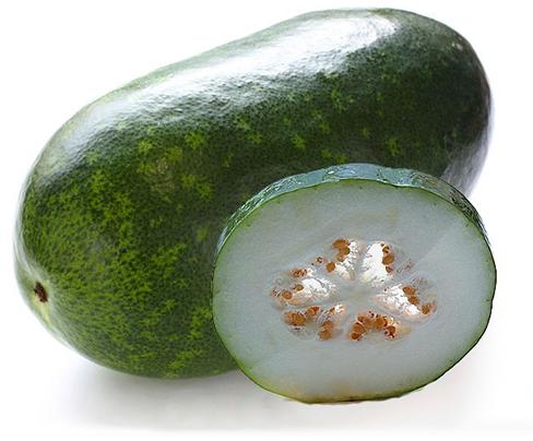 ASH GOURD - White Pumpkin