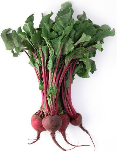 Organic Fresh Beetroot, Shelf Life : 10-15days