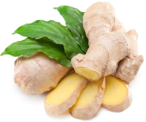 Ginger
