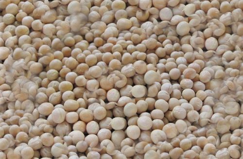 White Peas Bean