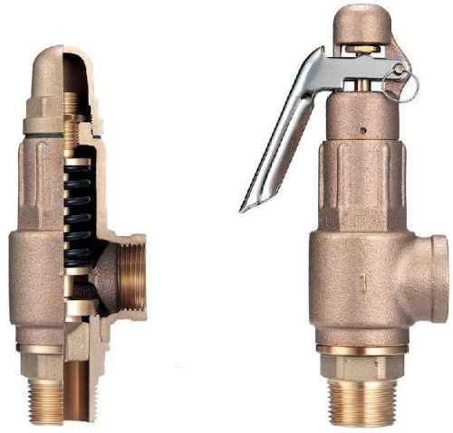 Bronze Safety Valves