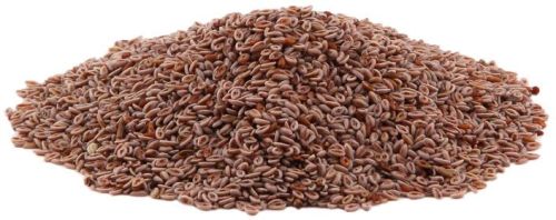 Psyllium Seeds, For Cooking