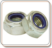 Nylon Insert Lock Nut