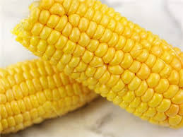 Yellow corn, Speciality : Organic