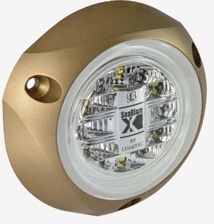 Under Water LED Light