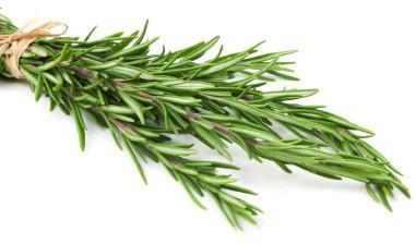 Rosemary Leave