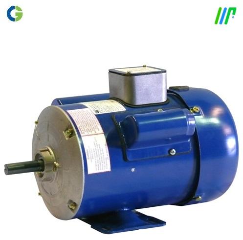 Crompton Greaves Single Pole AC Motor