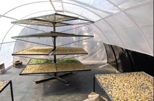 Solar Tent Dryer