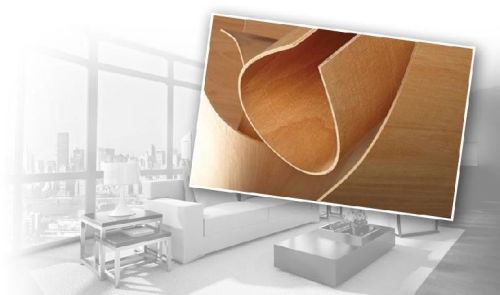 Flexi Plywood