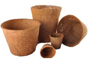 Coir Nursery Pot