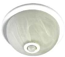 Ceiling Mount PIR Motion Sensor