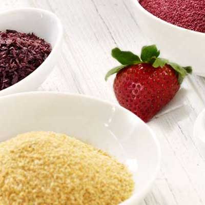 Spray Dried Fruit Powders