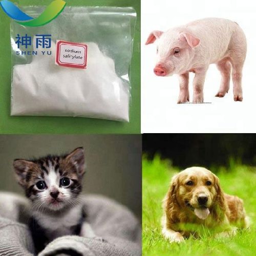 Sodium Salicylate CAS No.54-21-7