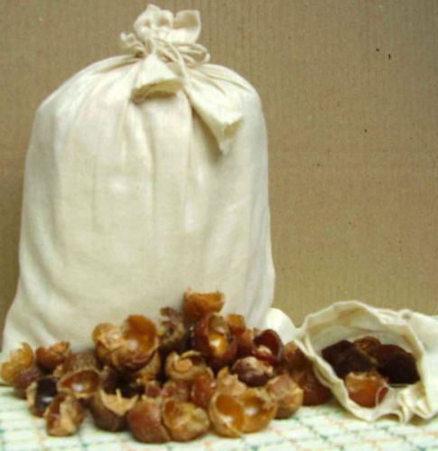 Soapnut Shells, Packaging Type : Bags