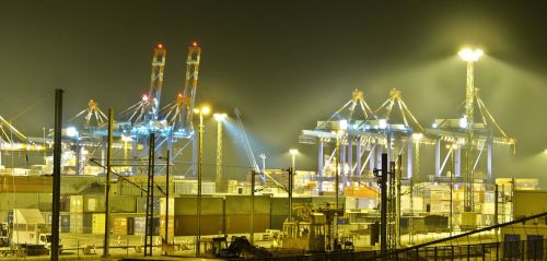 Nvocc Operations Services