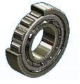 Steel Double Row Cylindrical Roller Bearings
