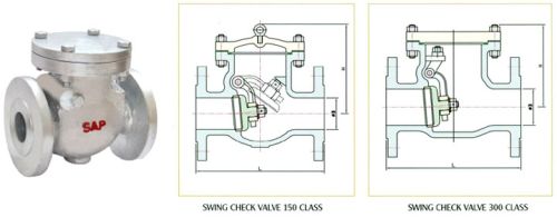 Swing Check Valve