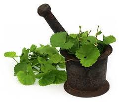 Ayurvedic Brain Tonic