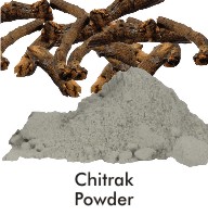 Chitrak Powder