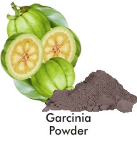 Garcinia Cambogia Extract Powder