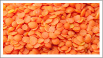 Red Lentil