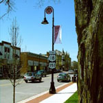 TRANSPOWER U Bend Light Poles, For Residential Societies, Roads, Gardens, Highways