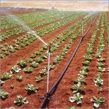 Micro Irrigation System