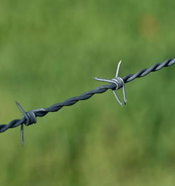 Barbed Wire, Elongation : 10 %