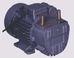Monoblock Rotary Vacuum Pump
