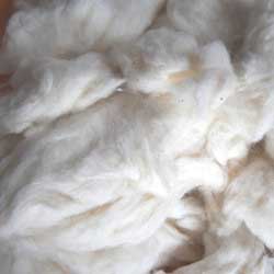 Cotton Comber Waste