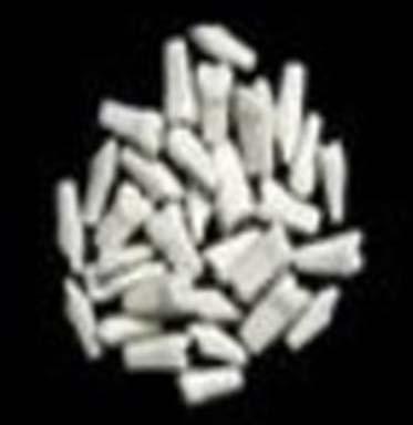 Typodonts Loose With Screw