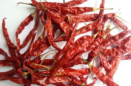 Dry Red S273 Chilli