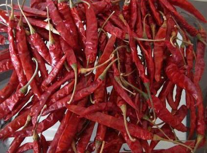 Dry Red Teja Chilli