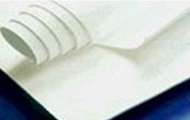 Expanded PTFE