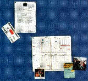 Pin Board