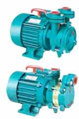 Domestic Monoblock Pumps