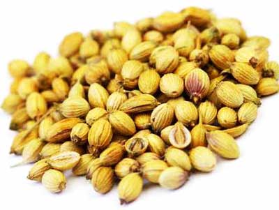 Coriander seeds, Specialities : Good Quality