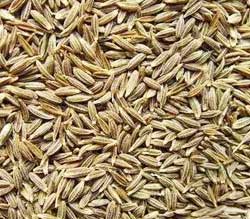 Cumin seeds, Purity :100%