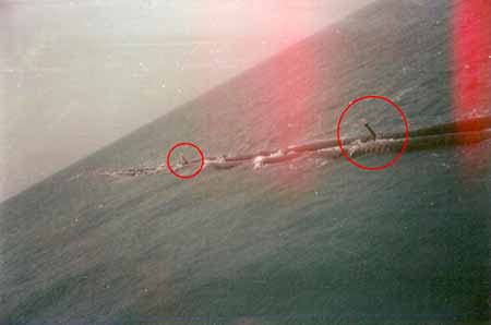 Winker Light(Floating Hose String Of SBM)