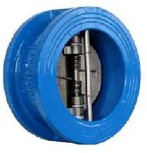 Dual Plate Check Valves